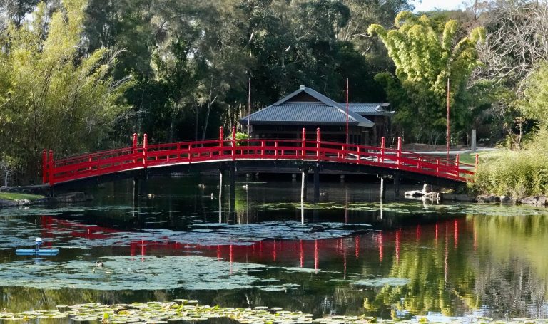 japanese bridge in garden