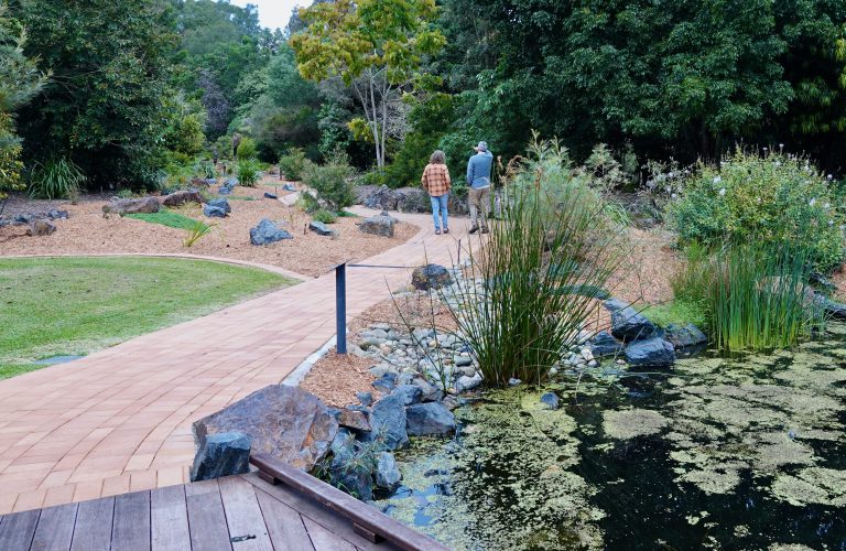 pond and pathway