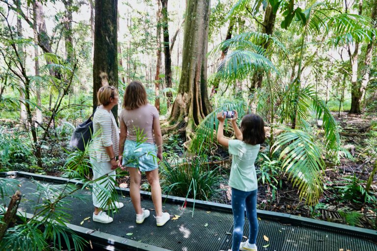 people standing in rainforest