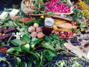Bush tucker2